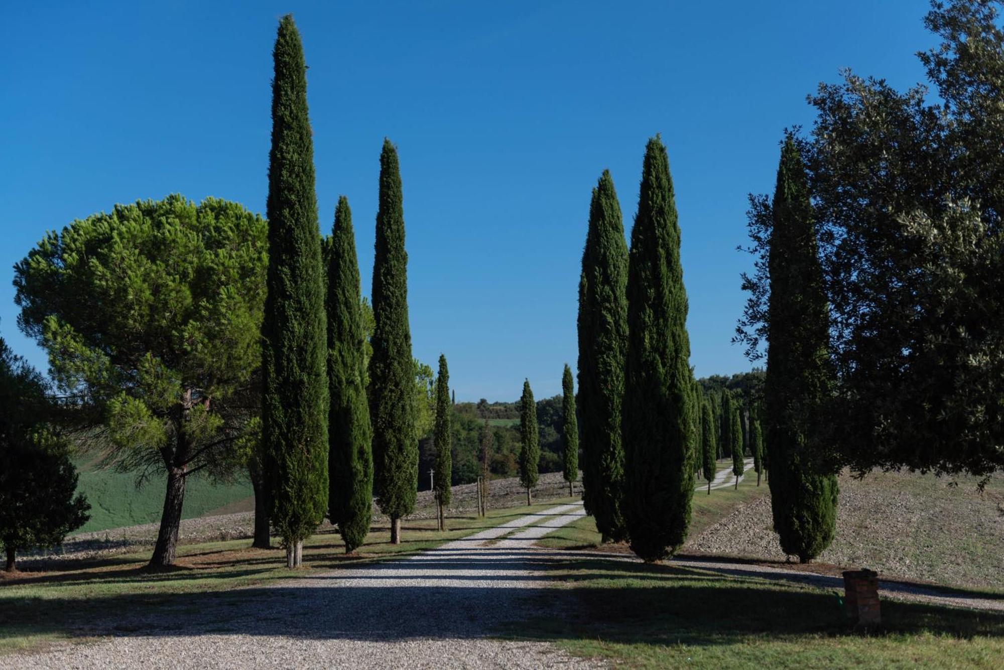 Villa Cucule Siena Zewnętrze zdjęcie
